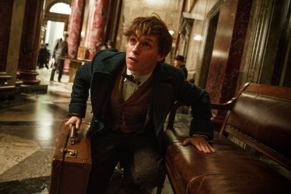fantastic_beasts_and_where_to_find_them_eddie_re