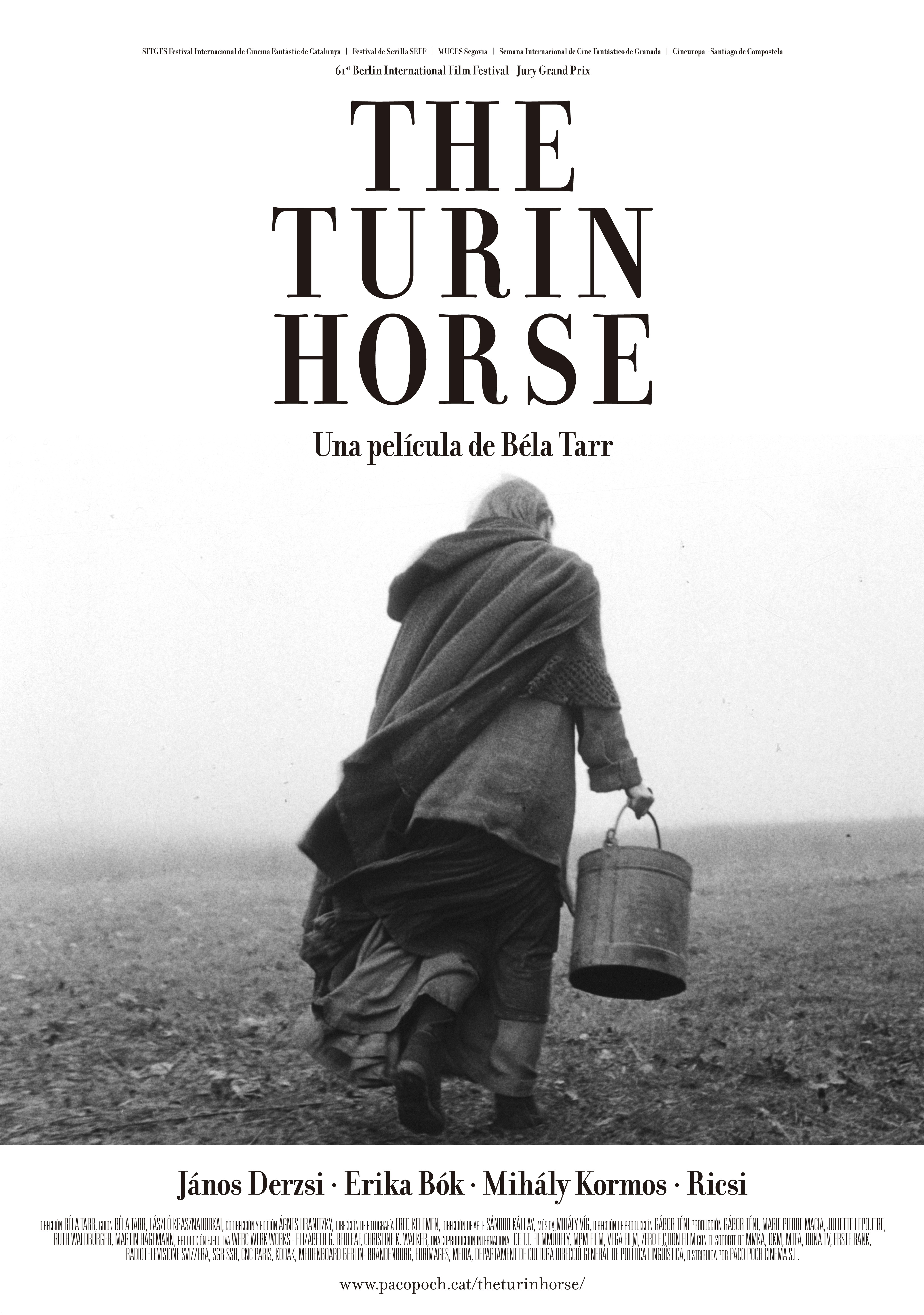 65- The Turin Horse (Bela Tarr and Ágnes Hranitzky, 2011)