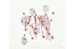 ghada-amer-allen-memorial-art-museumda
