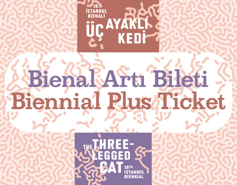 bienal-arti
