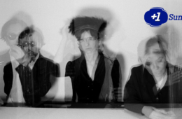 salonda-vanishing-twin