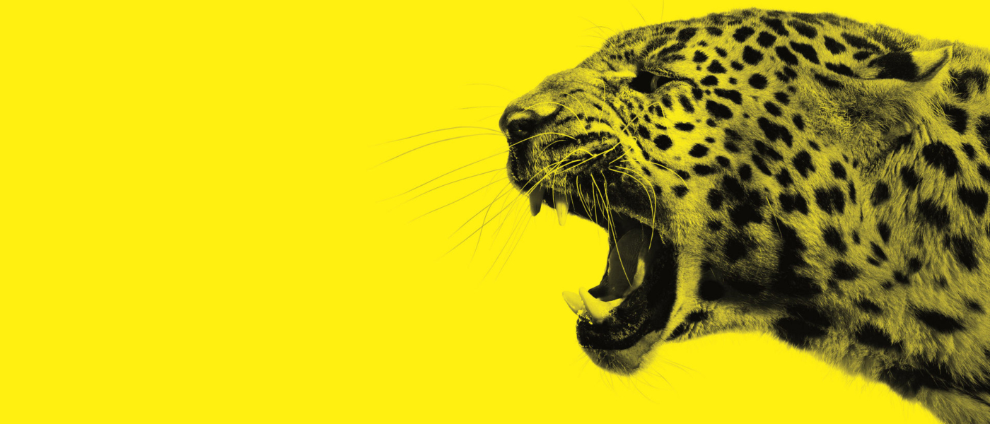 Locarno Film Festivali İstanbul’da!