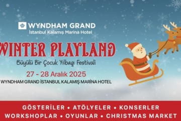 winter-playland-festival