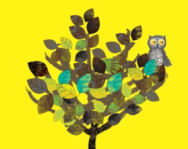 vay-dedi-baykus-zorlu-psmde